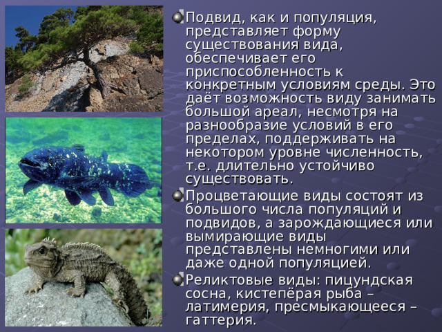 Подвид, как и популяция, представляет форму существования вида, обеспечивает его приспособленность к конкретным условиям среды. Это даёт возможность виду занимать большой ареал, несмотря на разнообразие условий в его пределах, поддерживать на некотором уровне численность, т.е. длительно устойчиво существовать. Процветающие виды состоят из большого числа популяций и подвидов, а зарождающиеся или вымирающие виды представлены немногими или даже одной популяцией. Реликтовые виды: пицундская сосна, кистепёрая рыба – латимерия, пресмыкающееся – гаттерия. 