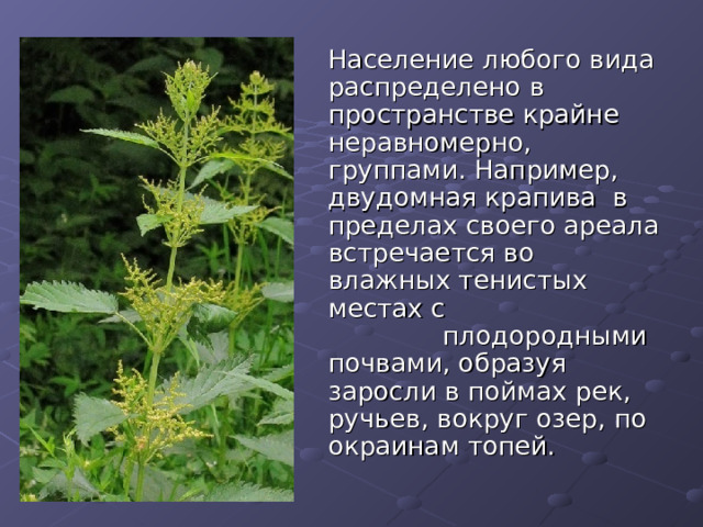  Население любого вида распределено в пространстве крайне неравномерно, группами. Например, двудомная крапива в пределах своего ареала встречается во влажных тенистых местах с плодородными почвами, образуя заросли в поймах рек, ручьев, вокруг озер, по окраинам топей. 