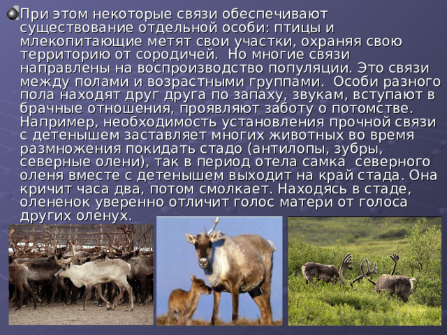 При этом некоторые связи обеспечивают существование отдельной особи: птицы и млекопитающие метят свои участки, охраняя свою территорию от сородичей. Но многие связи направлены на воспроизводство популяции. Это связи между полами и возрастными группами. Особи разного пола находят друг друга по запаху, звукам, вступают в брачные отношения, проявляют заботу о потомстве. Например, необходимость установления прочной связи с детенышем заставляет многих животных во время размножения покидать стадо (антилопы, зубры, северные олени), так в период отела самка северного оленя вместе с детенышем выходит на край стада. Она кричит часа два, потом смолкает. Находясь в стаде, олененок уверенно отличит голос матери от голоса других оленух. 