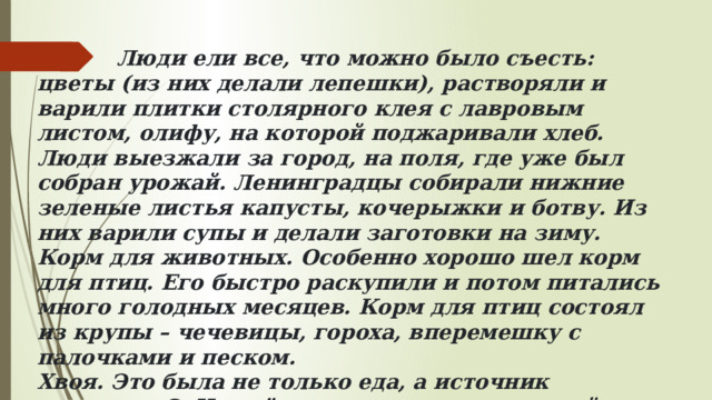  Люди ели все, что можно было съесть: цветы (из них делали лепешки), растворяли и варили плитки столярного клея с лавровым листом, олифу, на которой поджаривали хлеб. Люди выезжали за город, на поля, где уже был собран урожай. Ленинградцы собирали нижние зеленые листья капусты, кочерыжки и ботву. Из них варили супы и делали заготовки на зиму. Корм для животных. Особенно хорошо шел корм для птиц. Его быстро раскупили и потом питались много голодных месяцев. Корм для птиц состоял из крупы – чечевицы, гороха, вперемешку с палочками и песком. Хвоя. Это была не только еда, а источник витамина С. Из неё варили напиток, который спасал людей от цинги. 