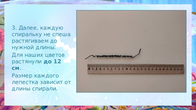 3. Далее, каждую спиральку не спеша растягиваем до нужной длины. Для наших цветов растянули до 12 см . Размер каждого лепестка зависит от длины спирали. 