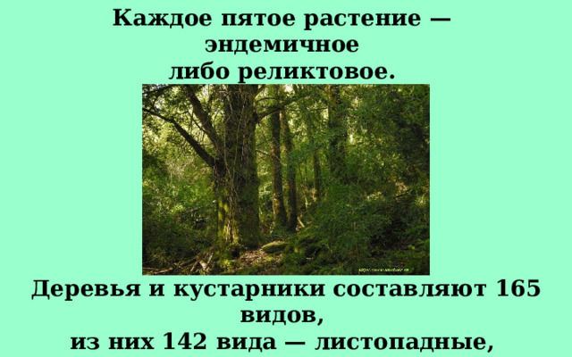 Каждое пятое растение — эндемичное либо реликтовое. Деревья и кустарники составляют 165 видов, из них 142 вида — листопадные, 16 — вечнозеленые и лиственные и 7 — хвойные. 