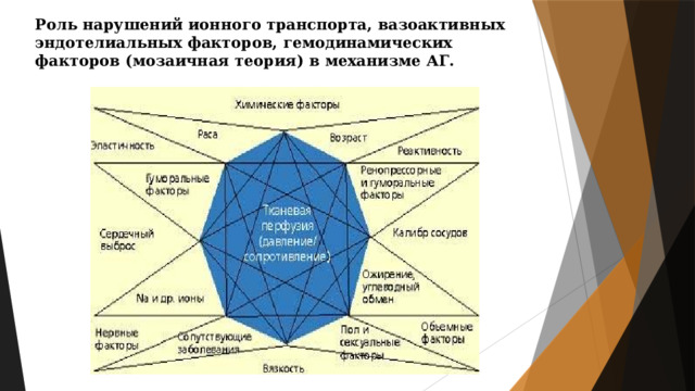 Роль нарушений ионного транспорта, вазоактивных эндотелиальных факторов, гемодинамических факторов (мозаичная теория) в механизме АГ. 