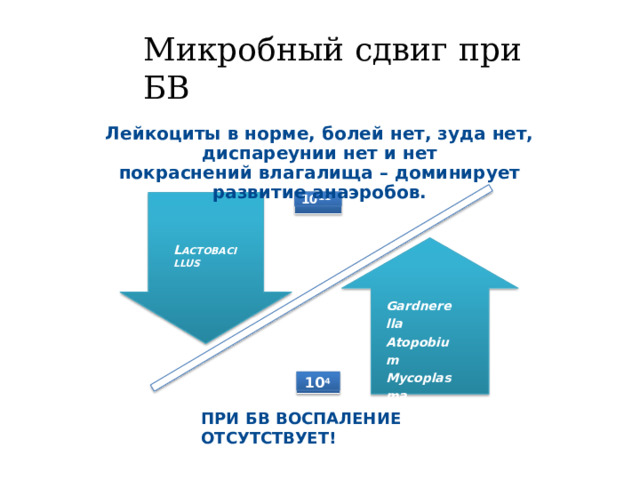 Микробный  сдвиг  при  БВ Лейкоциты  в  норме,  болей  нет,  зуда  нет,  диспареунии  нет  и  нет покраснений  влагалища  –  доминирует  развитие  анаэробов. 10 11 L ACTOBACILLUS Gardnerella Atopobium Mycoplasma Prevotella 10 4 ПРИ  БВ  ВОСПАЛЕНИЕ  ОТСУТСТВУЕТ! 