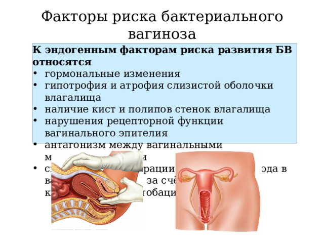 Факторы риска бактериального вагиноза К эндогенным факторам риска развития БВ относятся гормональные изменения гипотрофия и атрофия слизистой оболочки влагалища наличие кист и полипов стенок влагалища нарушения рецепторной функции вагинального эпителия антагонизм между вагинальными микроорганизмами снижение концентрации перекиси водорода в вагинальной среде за счёт уменьшения концентрации лактобацилл 