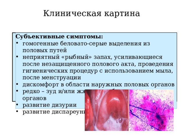 Клиническая картина Субъективные симптомы: гомогенные беловато-серые выделения из половых путей неприятный «рыбный» запах, усиливающиеся после незащищенного полового акта, проведения гигиенических процедур с использованием мыла, после менструации дискомфорт в области наружных половых органов редко – зуд и/или жжение в области половых органов развитие дизурии развитие диспареунии 