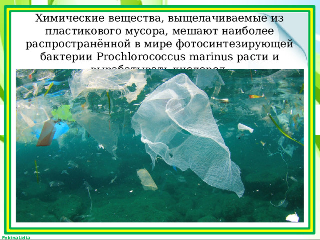 Химические вещества, выщелачиваемые из пластикового мусора, мешают наиболее распространённой в мире фотосинтезирующей бактерии Prochlorococcus marinus расти и вырабатывать кислород. 