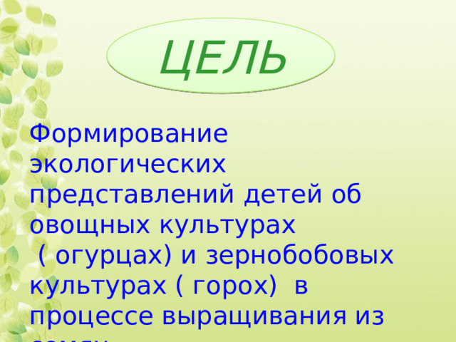 ЦЕЛЬ ЦЕЛЬ Формирование экологических представлений детей об овощных культурах  ( огурцах) и зернобобовых культурах ( горох) в процессе выращивания из семян. 