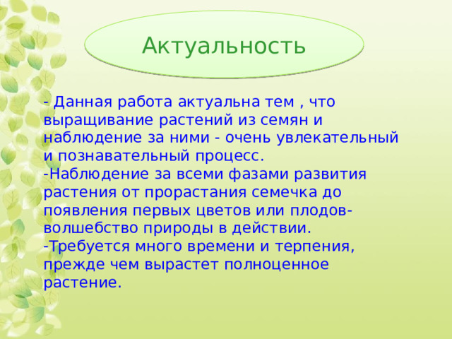 Актуальность - Данная работа актуальна тем , что выращивание растений из семян и наблюдение за ними - очень увлекательный и познавательный процесс. -Наблюдение за всеми фазами развития растения от прорастания семечка до появления первых цветов или плодов- волшебство природы в действии. -Требуется много времени и терпения, прежде чем вырастет полноценное растение. 