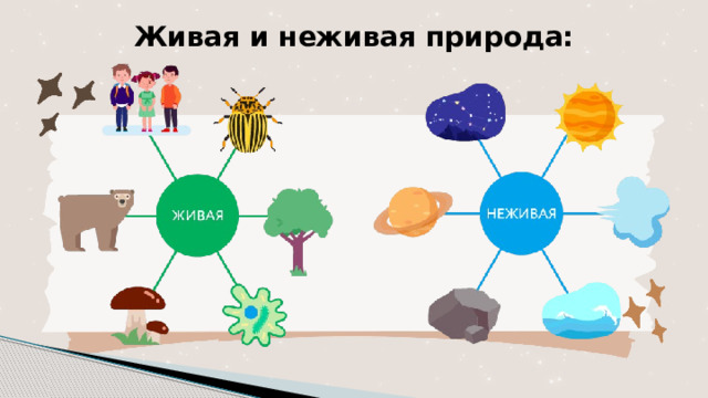 Живая и неживая природа: 