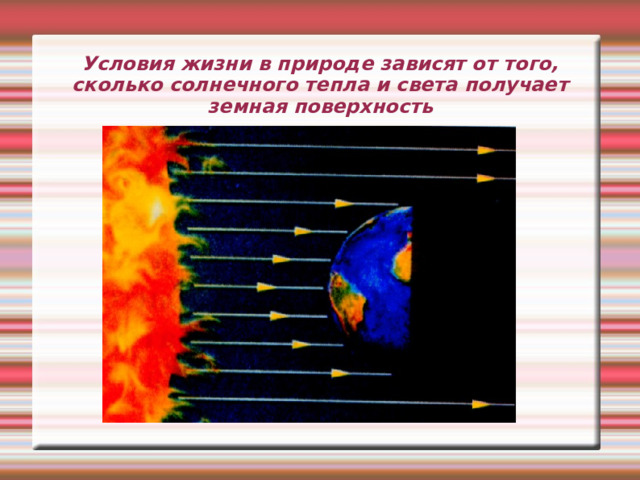 Условия жизни в природе зависят от того, сколько солнечного тепла и света получает земная поверхность 