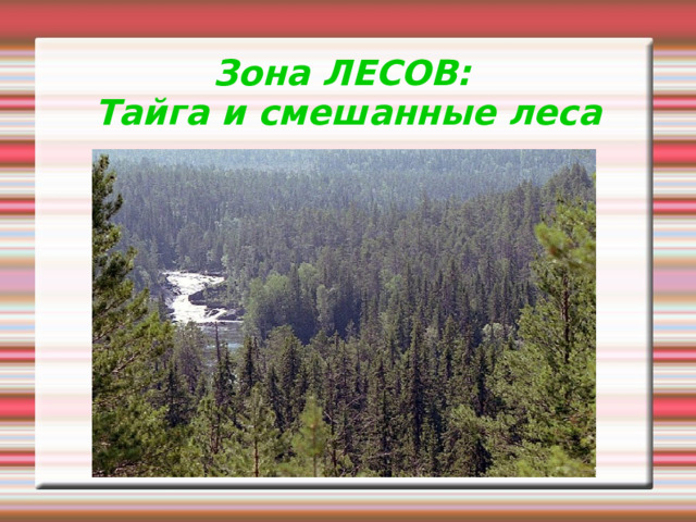 Зона ЛЕСОВ:  Тайга и смешанные леса 