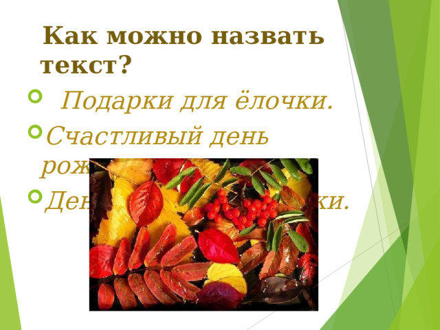  Как можно назвать текст?  Подарки для ёлочки. Счастливый день рожденья. День рожденья ёлочки. 