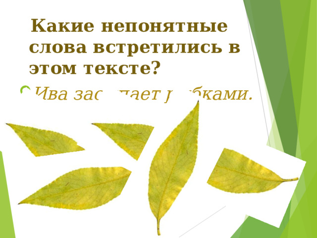  Какие непонятные слова встретились в этом тексте? Ива засыпает рыбками. 