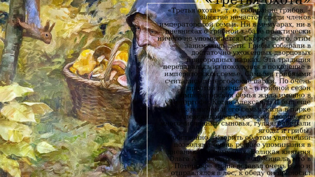« Третья охота»  «Третья охота», т. е. собирание грибов, – занятие нечастое среди членов императорской семьи. Ни в мемуарах, ни в дневниках о грибной забаве практически ничего не упоминается. Скорее всего, этим занимались дети. Грибы собирали в достаточно ухоженных дворцовых пригородных парках. Эта традиция передавалась из поколения в поколение в императорской семье. Самыми грибными считались петергофские парки. По очень простой причине – в грибной сезон императорская семья жила именно в Петергофе. Когда Александр II был еще цесаревичем и его семья жила в парке Александрия в Фермском дворце, его многочисленные сыновья, гуляя, собирали ягоды и грибы.  Собственно, говорить об этом увлечении позволяют очень редкие упоминания в дневниках и мемуарах. Великая княгиня Ольга Александровна вспоминала, что в Петергофе «папа вставал очень рано и отправлялся в лес, к обеду он приносил большую корзину грибов. Иногда он брал с собой кого-нибудь из нас, детей». 8   МАРИЯ АНИСИМОВА 