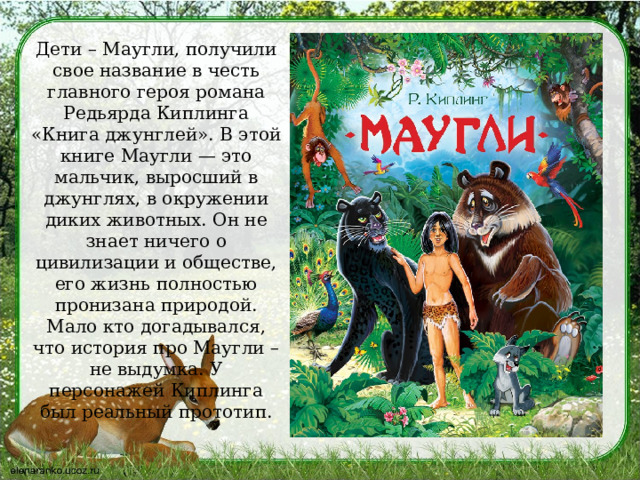 Дети – Маугли, получили свое название в честь главного героя романа Редьярда Киплинга «Книга джунглей». В этой книге Маугли — это мальчик, выросший в джунглях, в окружении диких животных. Он не знает ничего о цивилизации и обществе, его жизнь полностью пронизана природой. Мало кто догадывался, что история про Маугли – не выдумка. У персонажей Киплинга был реальный прототип. 