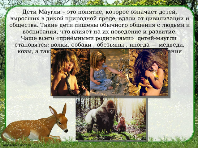 Дети Маугли – это понятие, которое означает детей, выросших в дикой природной среде, вдали от цивилизации и общества. Такие дети лишены обычного общения с людьми и воспитания, что влияет на их поведение и развитие. Чаще всего «приёмными родителями»  детей-маугли  становятся: волки, собаки , обезьяны , иногда — медведи, козы, а также были зафиксированы случаи  воспитания львами, газелями, свиньями. 