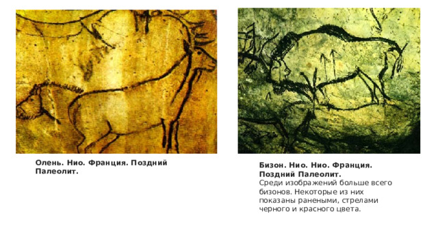Олень. Нио. Франция. Поздний Палеолит. Бизон. Нио. Нио. Франция. Поздний Палеолит. Среди изображений больше всего бизонов. Некоторые из них показаны ранеными, стрелами черного и красного цвета. 