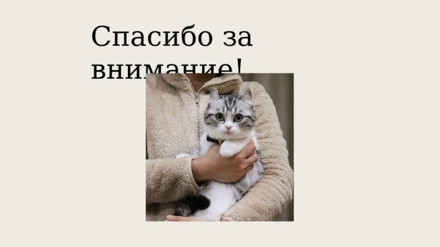 Спасибо за внимание! 