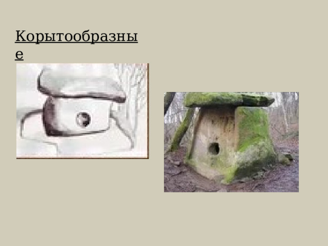 Корытообразные 