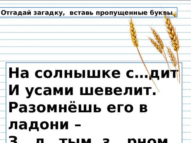 Отгадай загадку, вставь пропущенные буквы. На солнышке с…дит И усами шевелит. Разомнёшь его в ладони – З ...л… тым з...рном набит. 