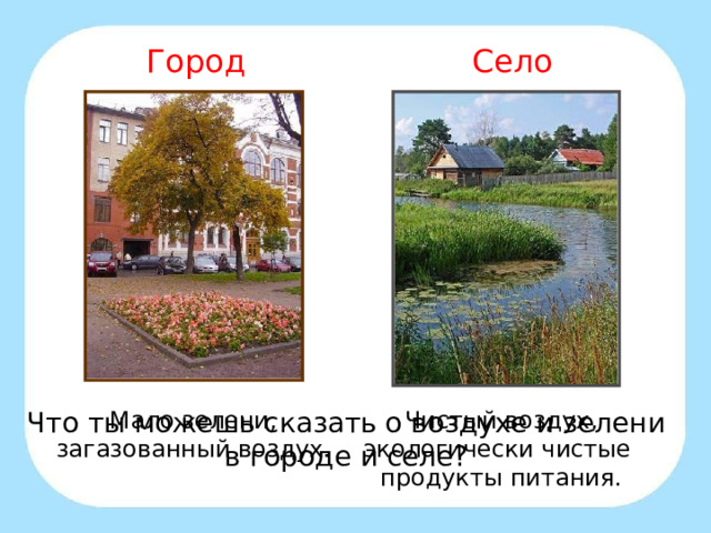 Город Село Мало зелени, загазованный воздух. Чистый воздух, экологически чистые продукты питания. Что ты можешь сказать о воздухе и зелени в городе и селе? 
