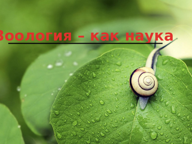 Зоология – как наука 