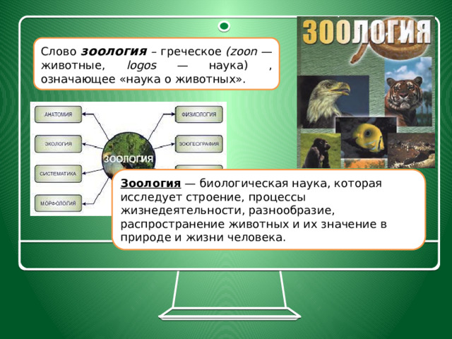 Слово зоология – греческое (zoon — животные, logos — наука) , означающее «наука о животных». Зоология  — биологическая наука, которая исследует строение, процессы жизнедеятельности, разнообразие, распространение животных и их значение в природе и жизни человека. 