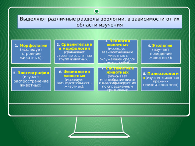 : Выделяют различные разделы зоологии, в зависимости от их области изучения 4.   Этология   (изучает поведение животных); 3.   Экология животных (исследует взаимоотношение животных с окружающей средой и между собой); 1.   Морфология  (исследует строение животных); 2.   Сравнительная морфология (сравнивает строение различных групп животных); 5.   Зоогеография (изучает распространение животных ); 6.   Физиология животных (исследует жизнедеятельность животных); 7.   Систематика животных (описывает многообразие видов и классифицирует их по определенным признакам); 8.   Палеозоология (изучает животных прежних геологических эпох) 6 