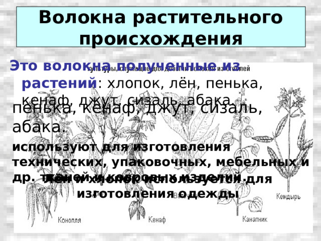 Волокна растительного происхождения  Это волокна полученные из растений : хлопок, лён, пенька, кенаф, джут, сизаль, абака. пенька, кенаф, джут, сизаль, абака. используют для изготовления технических, упаковочных, мебельных и др. тканей и ковровых изделий. Лён и хлопок используется для изготовления одежды 