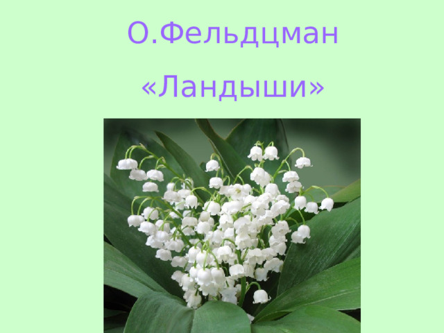 О.Фельдцман «Ландыши» 