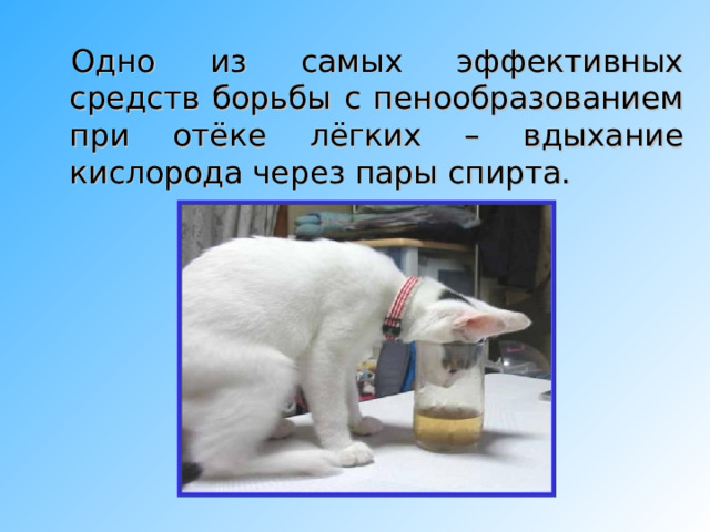 Жгуты на верхней трети бёдер не смогут пережать артерии, но затруднят венозный отток. Под действием тепла кровь устремится в нижние конечности, а наложенные жгуты воспрепятствуют её возвращению. Кровь окажется в ловушке. 