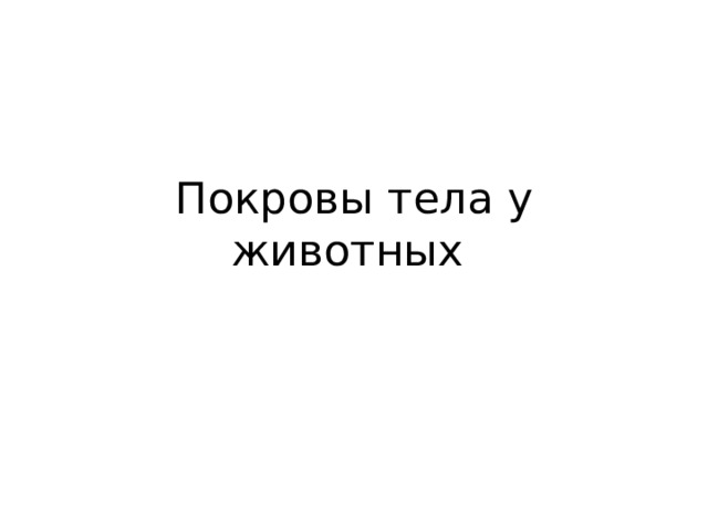 Покровы тела у животных 