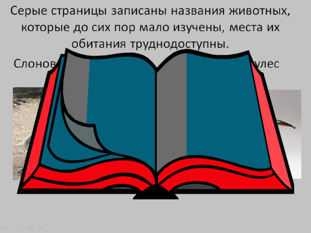 Серые страницы Малоизвестные виды 