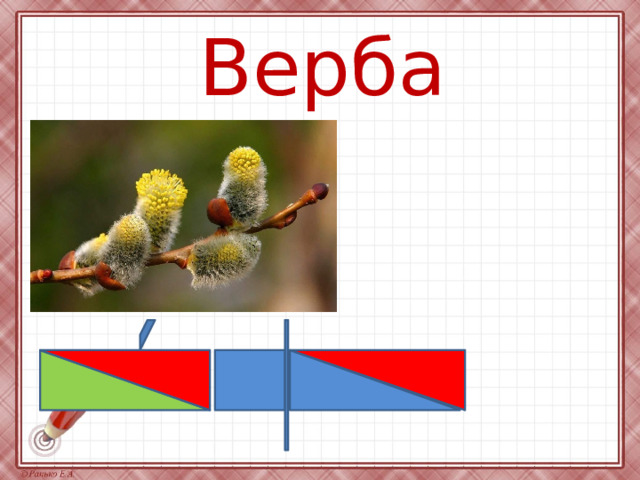 Верба 