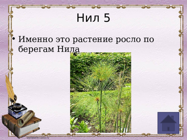 Нил 5 Именно это растение росло по берегам Нила 