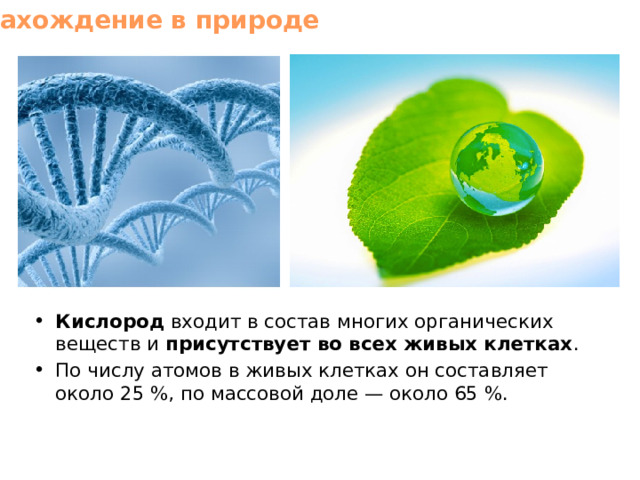 Нахождение в природе Кислород входит в состав многих органических веществ и присутствует во всех живых клетках . По числу атомов в живых клетках он составляет около 25 %, по массовой доле — около 65 %. 