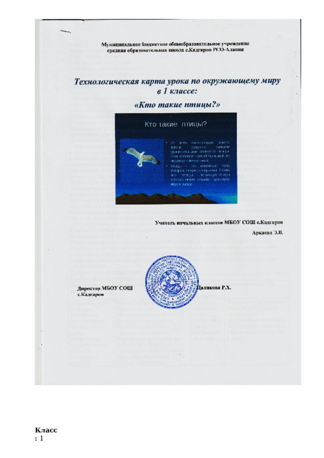 Класс:  1 
