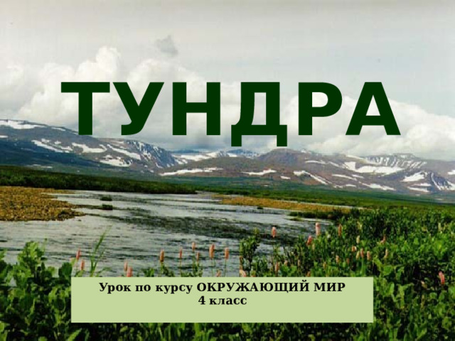 ТУНДРА Урок по курсу ОКРУЖАЮЩИЙ МИР 4 класс  