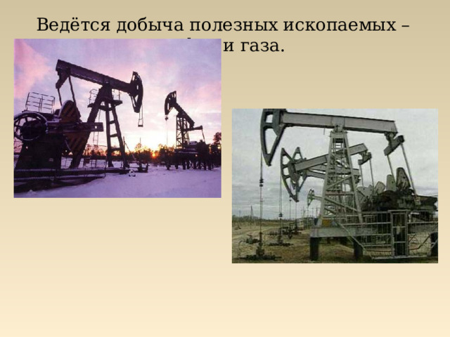 Ведётся добыча полезных ископаемых – нефти и газа. 