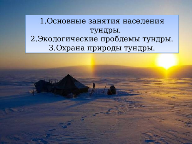 Основные занятия населения тундры. Экологические проблемы тундры. Охрана природы тундры. 