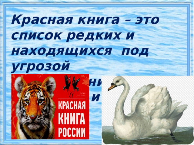 Красная книга – это список редких и находящихся под угрозой исчезновения животных и растений  