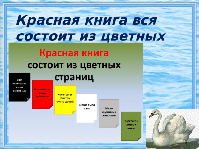     Красная книга вся состоит из цветных страниц 