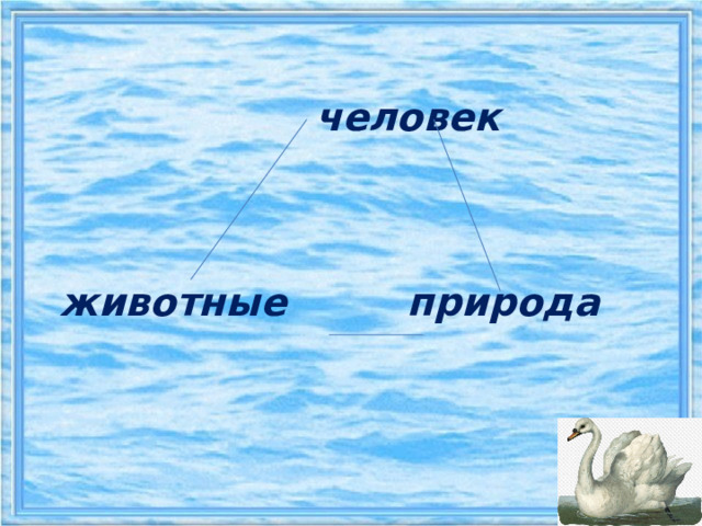    человек      животные природа     
