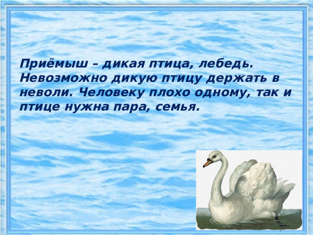    Приёмыш – дикая птица, лебедь.  Невозможно дикую птицу держать в неволи. Человеку плохо одному, так и птице нужна пара, семья.   