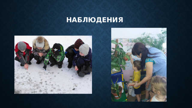 Наблюдения 