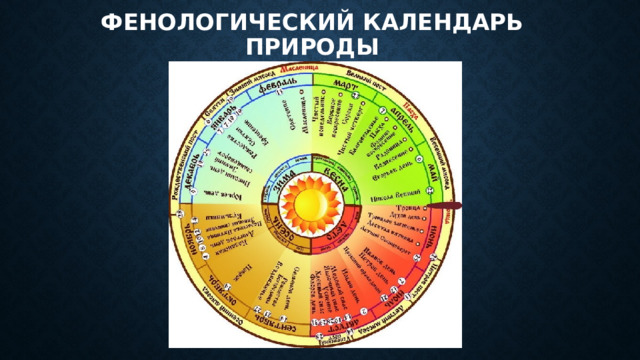 Фенологический календарь природы 