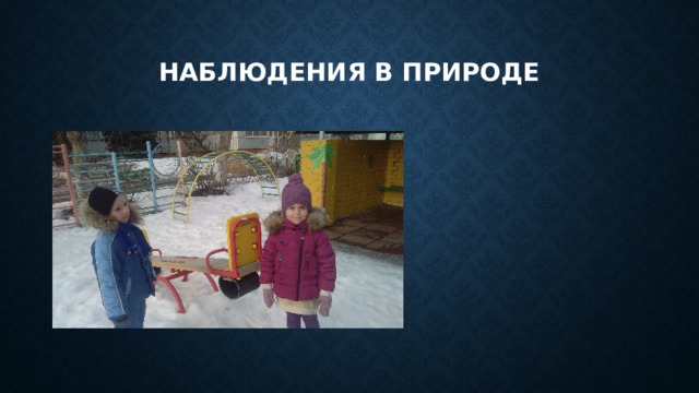 Наблюдения в природе 