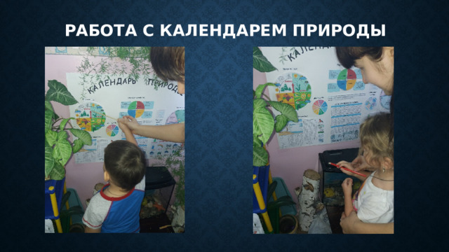 Работа с календарем природы 