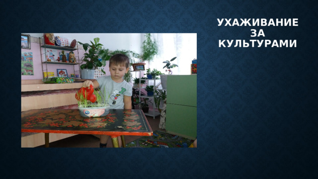 Ухаживание за культурами 